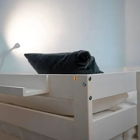 Hihome Uria بيت شباب اوفيدو